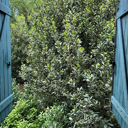 Δωμάτια σε οικογενειακή κατοικία En Bois Dans Ancienne Batisse Μονπελιέ